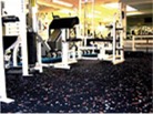 Rubber vloeren voor fitnessruimten onder fitnessapparatuur en als sportvloer
